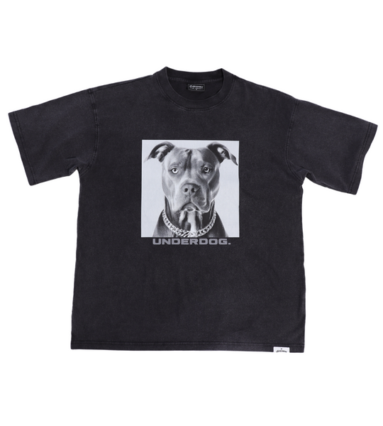 'UNDERDOG' [Graphite] Timeless Tee